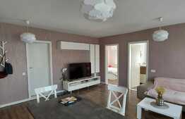 Apartament modern, 3 camere, zona Terra!