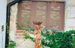 De vanzare casa individuala superba, 160 mp utili, 550 mp teren,zona linistita,panorama 