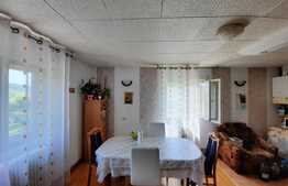 De vanzare casa individuala,180 mp utili, 1000 mp teren,zona linistita