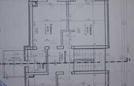 casa individuala, 140 mp util, 460 mp teren, Dezmir