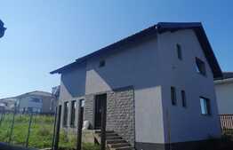 casa individuala, 140 mp util, 460 mp teren, Dezmir