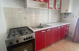 Apartament de 3 camere, pet friendly, zona Florilor!
