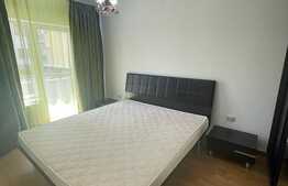 Apartament de 3 camere, pet friendly, zona Florilor!