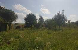 EXCLUSIV! Teren intravilan, 11600 mp, 43 ml front, utilitati, cu casa, Campenesti