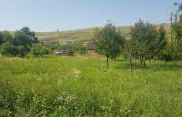 EXCLUSIV! Teren intravilan, 11600 mp, 43 ml front, utilitati, cu casa, Campenesti