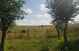 EXCLUSIV! Teren intravilan, 11600 mp, 43 ml front, utilitati, cu casa, Campenesti