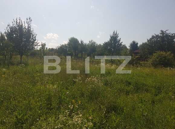 Teren de vânzare Exterior Est - 69075TV | BLITZ Cluj-Napoca | Poza5