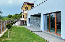 De vanzare casa cu 2 apartamente, Grigorescu!