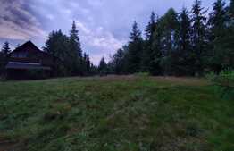 Cabana de vanzare Balcesti, 50 mp utili, 880 mp teren