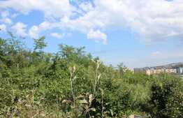 Exclusiv prin Blitz! Casa unifamiliala, teren de 900, Grigorescu!