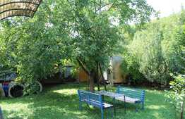 Exclusiv prin Blitz! Casa unifamiliala, teren de 900, Grigorescu!