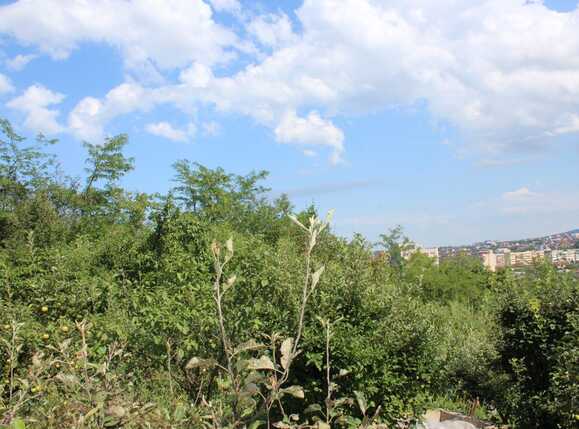 Casa de vânzare 8 camere Grigorescu - 69140CV | BLITZ Cluj-Napoca | Poza4