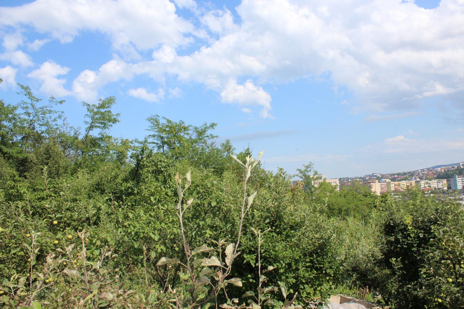 Casa de vânzare 8 camere Grigorescu - 69140CV | BLITZ Cluj-Napoca | Poza4