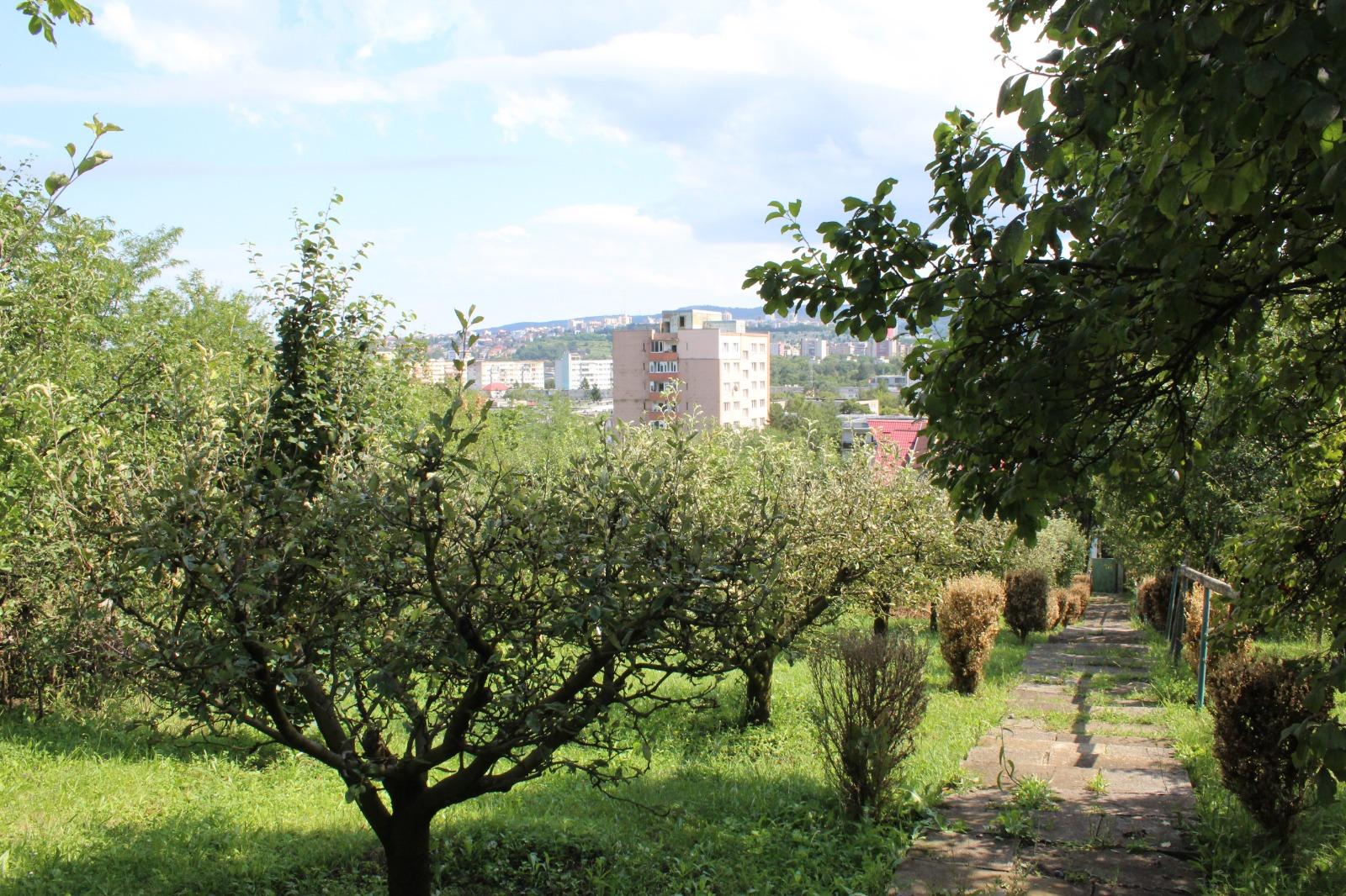 Casa de vânzare 8 camere Grigorescu - 69140CV | BLITZ Cluj-Napoca | Poza3