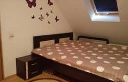 Apartament 2 camere, spatios, 56 mp, mobilat si utilat, zona Porii!