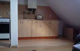 Apartament 2 camere, spatios, 56 mp, mobilat si utilat, zona Porii!