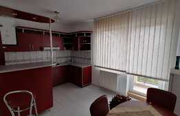 Casa individuala finisata, 300 mp utili, 320 mp teren