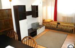 Apartament 2 camere, 44 mp, demisol inalt, zona Facultatii de Litere