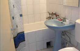 Apartament 2 camere, 44 mp, demisol inalt, zona Facultatii de Litere