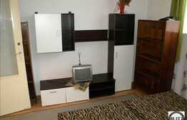 Apartament 2 camere, 44 mp, demisol inalt, zona Facultatii de Litere