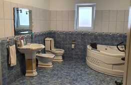 Casa deosebita in comuna Livezile, din judetul Bistrita Nasaud