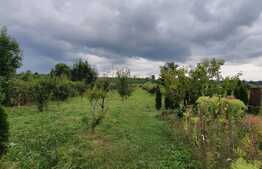 Casa deosebita in comuna Livezile, din judetul Bistrita Nasaud