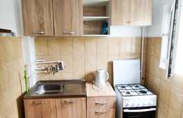 Garsoniera luminoasa, 24 mp + balcon, etaj intermediar, mobilata, zona Minerva