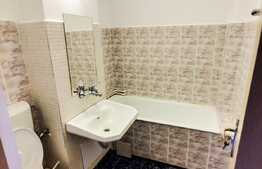 Garsoniera luminoasa, 24 mp + balcon, etaj intermediar, mobilata, zona Minerva