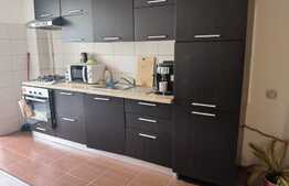 Apartament 2 camere, spatios, 57 mp, mobilat utilat, zona Florilor!