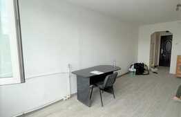 Garsoniera, renovata, 32 mp, pet friendly, zona strazii Parang