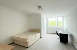 Garsoniera, renovata, 32 mp, pet friendly, zona strazii Parang