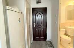 Garsoniera, renovata, 32 mp, pet friendly, zona strazii Parang