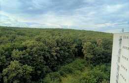 Garsoniera, renovata, 32 mp, pet friendly, zona strazii Parang