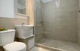 Garsoniera, renovata, 32 mp, pet friendly, zona strazii Parang