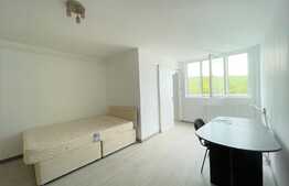 Garsoniera, renovata, 32 mp, pet friendly, zona strazii Parang