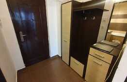 Garsoniera pet friendly, 30 mp, balcon, zona Big