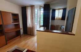 Garsoniera pet friendly, 30 mp, balcon, zona Big