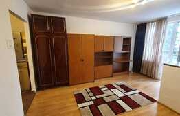 Garsoniera pet friendly, 30 mp, balcon, zona Big