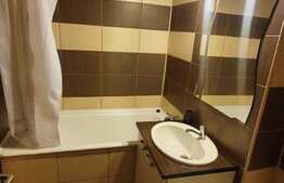 Garsoniera pet friendly, 30 mp, balcon, zona Big