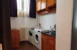 Garsoniera pet friendly, 30 mp, balcon, zona Big