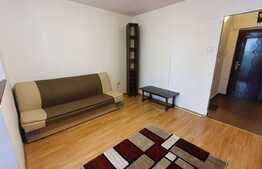 Garsoniera pet friendly, 30 mp, balcon, zona Big