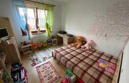 Apartament de 2 camere, 50 mp, zona Tractorul 