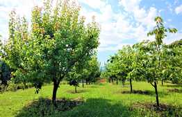 Casa individuala, 300 mp Sc, teren 1900 mp, 2 fronturi de 20 ml, zona strazii Oasului