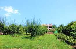 Casa individuala, 300 mp Sc, teren 1900 mp, 2 fronturi de 20 ml, zona strazii Oasului