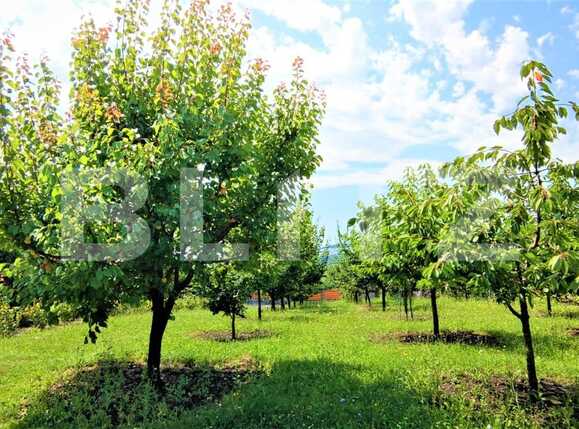 Casa de vânzare 6 camere Iris - 69299CV | BLITZ Cluj-Napoca | Poza8