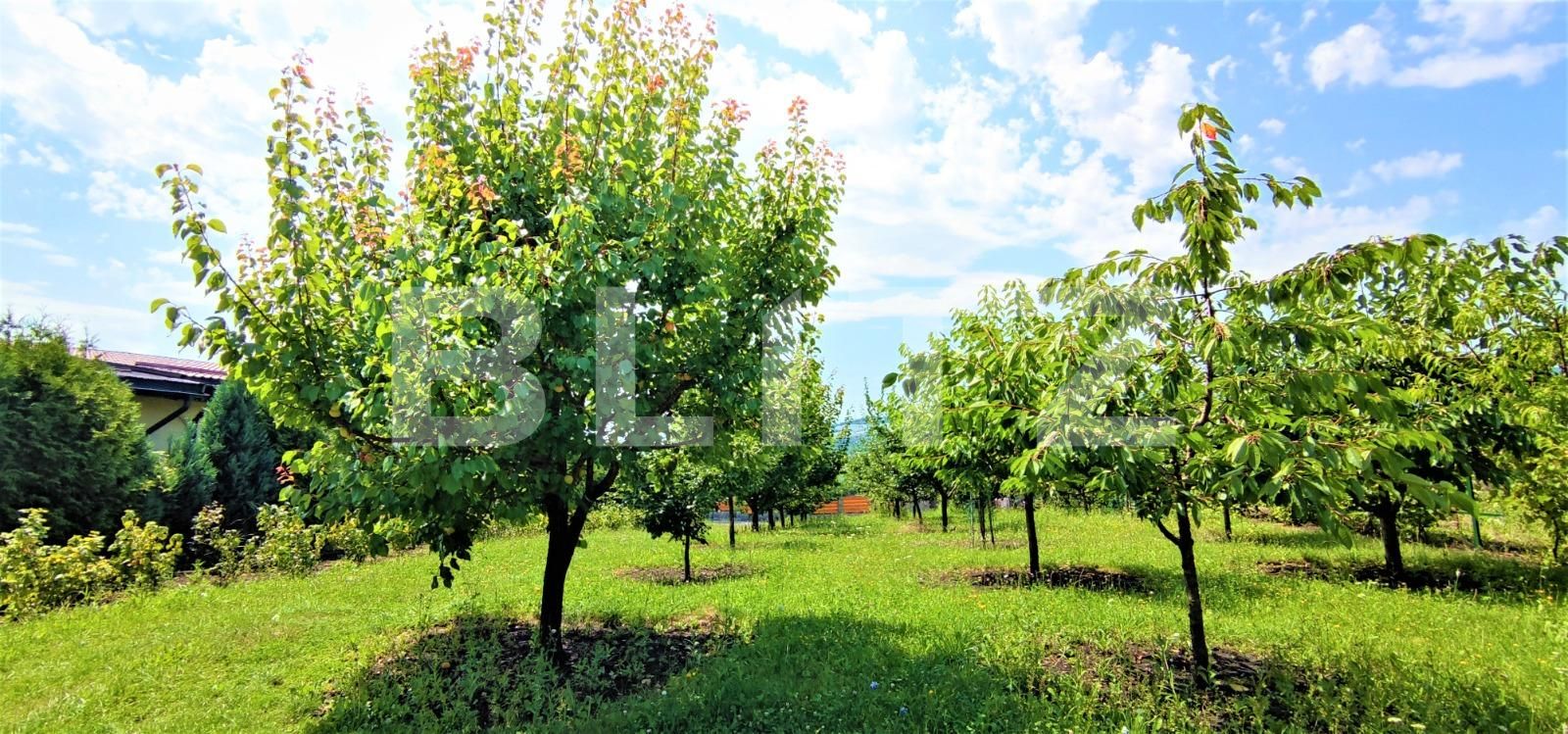 Casa de vânzare 6 camere Iris - 69299CV | BLITZ Cluj-Napoca | Poza8