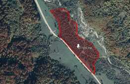 Teren 37.500 mp, Valea Zizinului