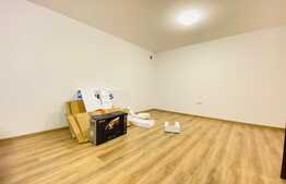 Duplex spatios, 180 mp utili, gradina, zona Europa
