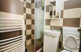 Duplex spatios, 180 mp utili, gradina, zona Europa