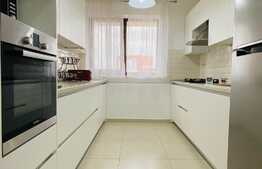 Duplex spatios, 180 mp utili, gradina, zona Europa